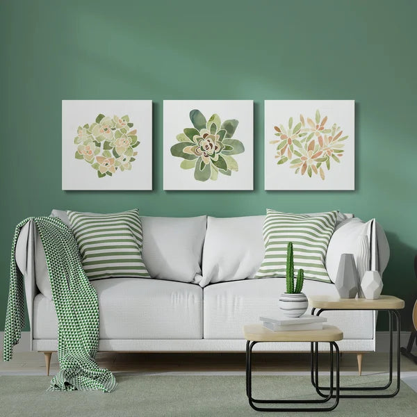 16" H x 48" W x 1" D Succulent Cameo XII - 3 Piece Wrapped Canvas Print Set