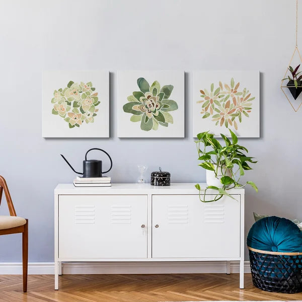 16" H x 48" W x 1" D Succulent Cameo XII - 3 Piece Wrapped Canvas Print Set