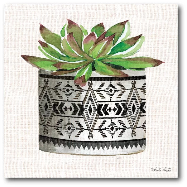 16" H x 16" W x 1.5" D Succulent II - Wrapped Canvas Painting