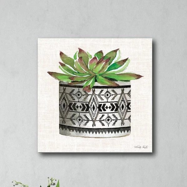 16" H x 16" W x 1.5" D Succulent II - Wrapped Canvas Painting
