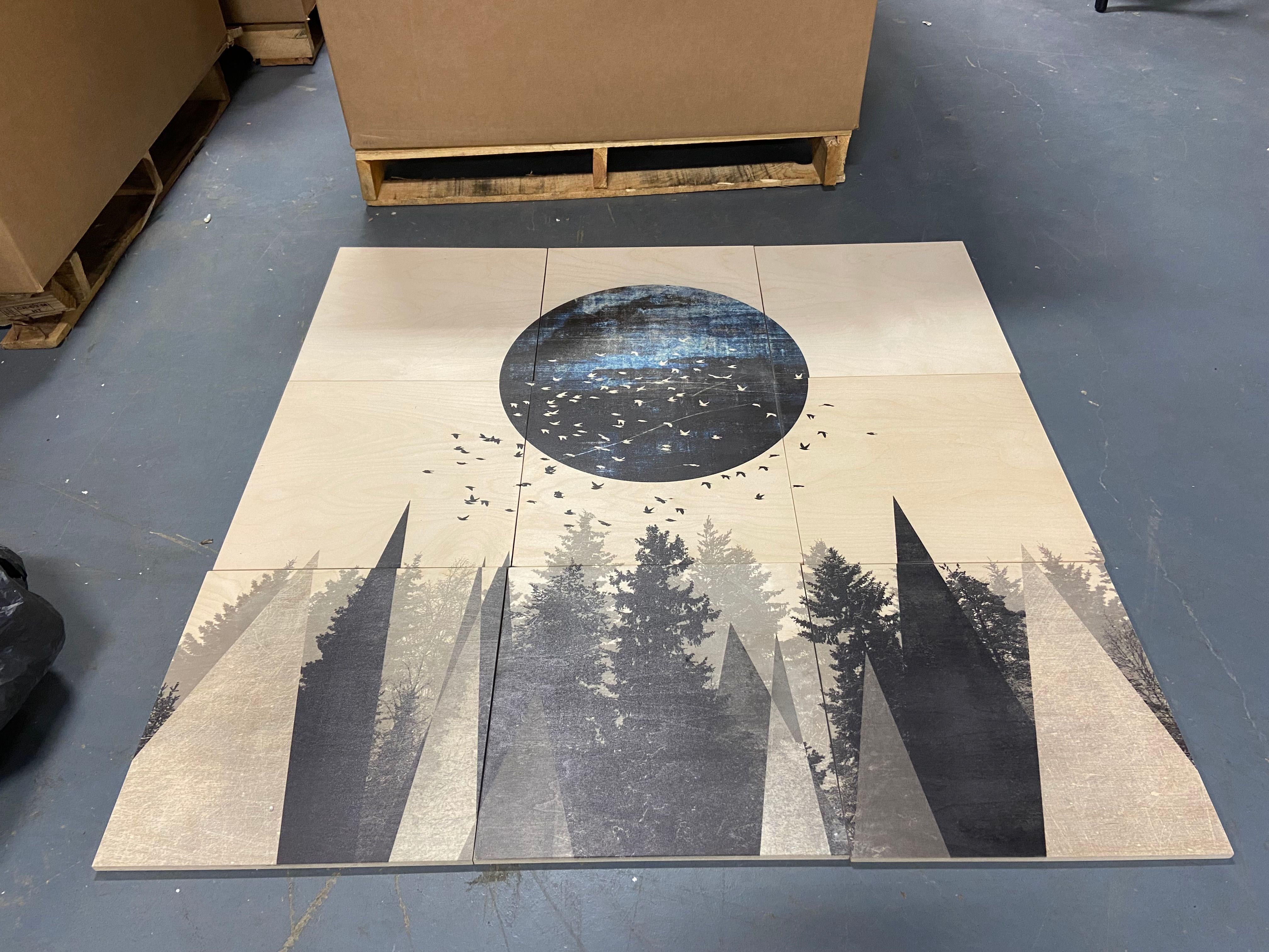48" H x 48" W x 0.5" D Bird Wanna Whistle White Mountain - 9 Piece Unframed Photograph on Wood