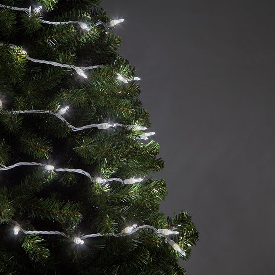 50 T5 Cool White LED Christmas Tree Lights, 6" Spacing, White Wire (Set of 2)