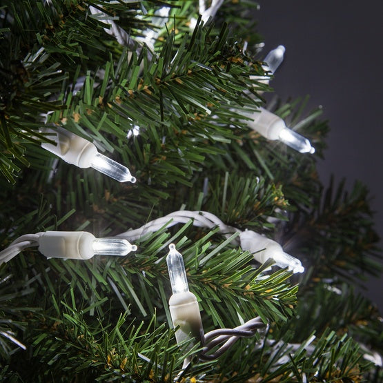 50 T5 Cool White LED Christmas Tree Lights, 6" Spacing, White Wire (Set of 2)