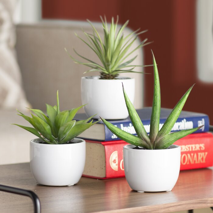 5.25" Artificial Foliage in Pot - TTR160