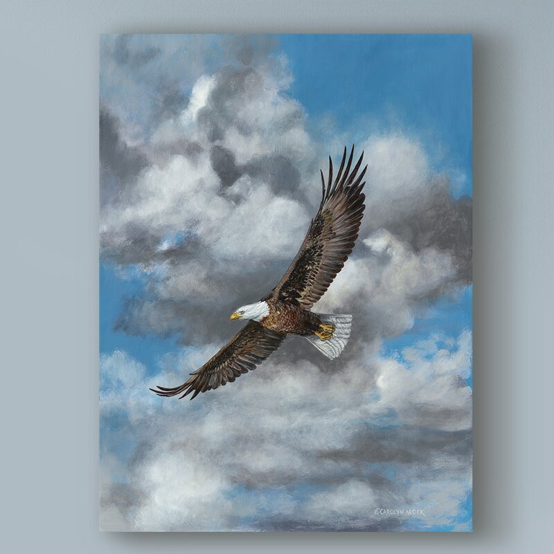 19" H x 14" W x 2" D The Soaring Eagle by Carolyn Mock - Print on Canvas