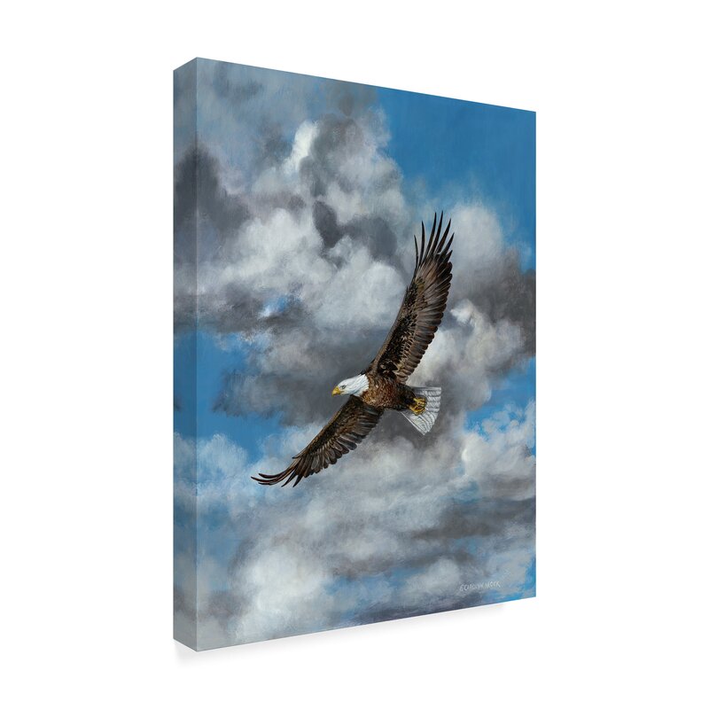 19" H x 14" W x 2" D The Soaring Eagle by Carolyn Mock - Print on Canvas