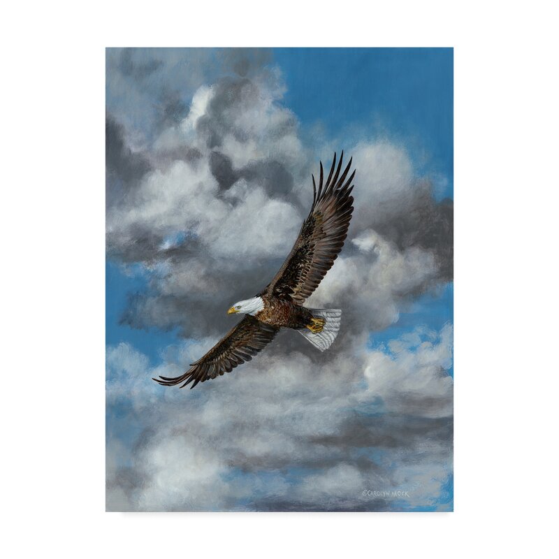 19" H x 14" W x 2" D The Soaring Eagle by Carolyn Mock - Print on Canvas