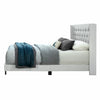 Queen White Tianna Tufted Upholstered Low Profile Standard Bed