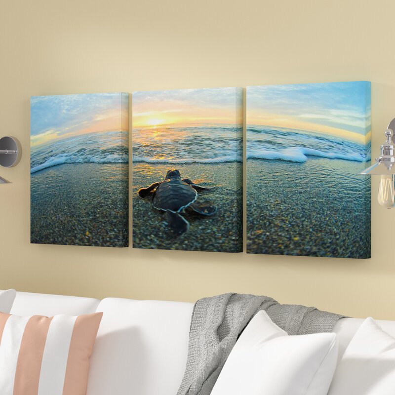Turtle by Christopher Doherty - 3 Piece Wrapped Canvas Print