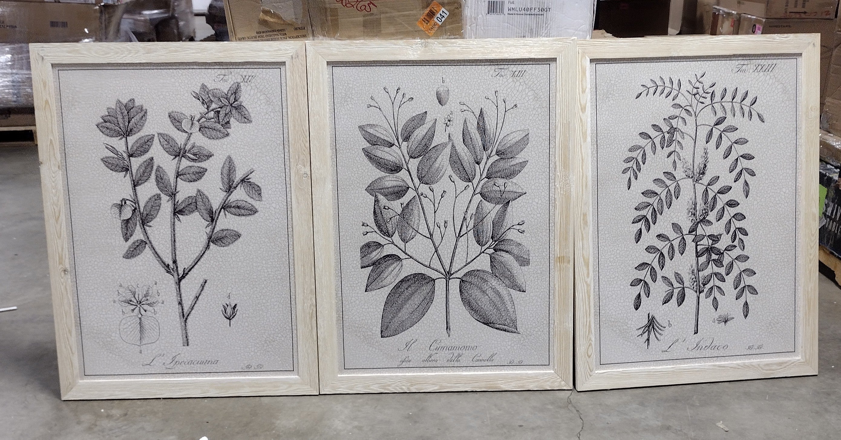 37.5" H x 82.5" W x 1.5" D Antique Black And White Botanical VII - 3 Piece Picture Frame Illustration on Canvas