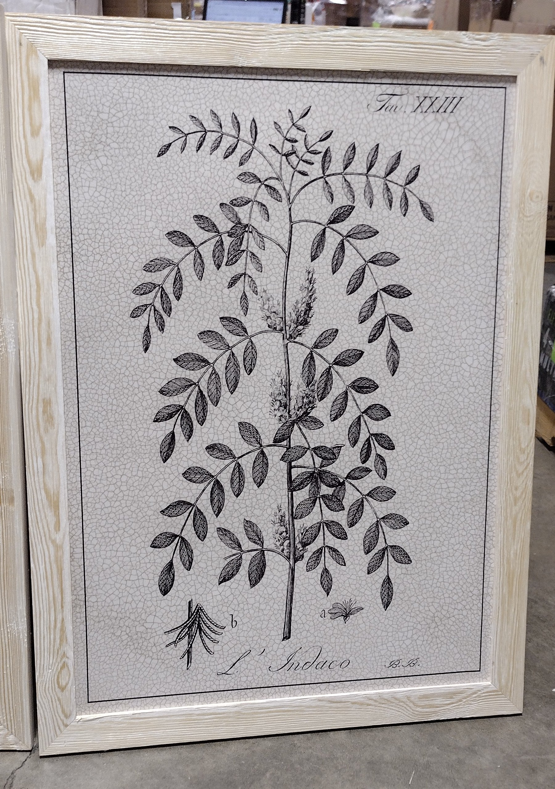 37.5" H x 82.5" W x 1.5" D Antique Black And White Botanical VII - 3 Piece Picture Frame Illustration on Canvas
