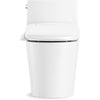 White Veil One-Piece Elongated Dual-Flush Toilet with Skirted Trapway and Concealed Cords EJ923