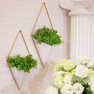 Vitiello 2-Piece Metal Wall Planter Set 7044