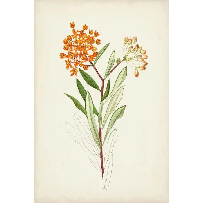 12" H x 8" W x 1.25" D Watercolor Botanical Sketches VI - Wrapped Canvas Painting