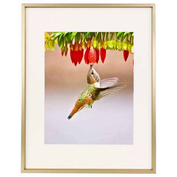 11" x 14" Gold Aluminum Thin-Border Design Picture Frame