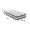 Wayfair Sleep™ 12