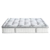 Wayfair Sleep™ 12