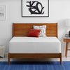 Wayfair Sleep 14