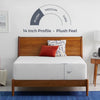 Wayfair Sleep™ 14