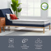 Wayfair Sleep™ 6