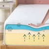 Wayfair Sleep™ 8