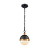 Wein 1-Light Single Globe Pendant (#463)