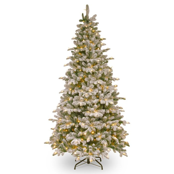 6.5' Snowy Frosted Green Fir Artificial Christmas Tree with Clear/White Lights LX5453