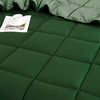 Full/Queen Comforter + 2 Standard Shams Green Wynton Comforter Set