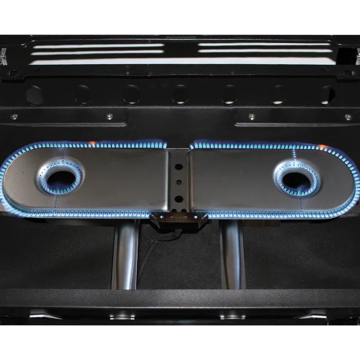 Blue Xcursion Coleman 2 - Burner Portable Liquid Propane 20000 BTU Gas Grill