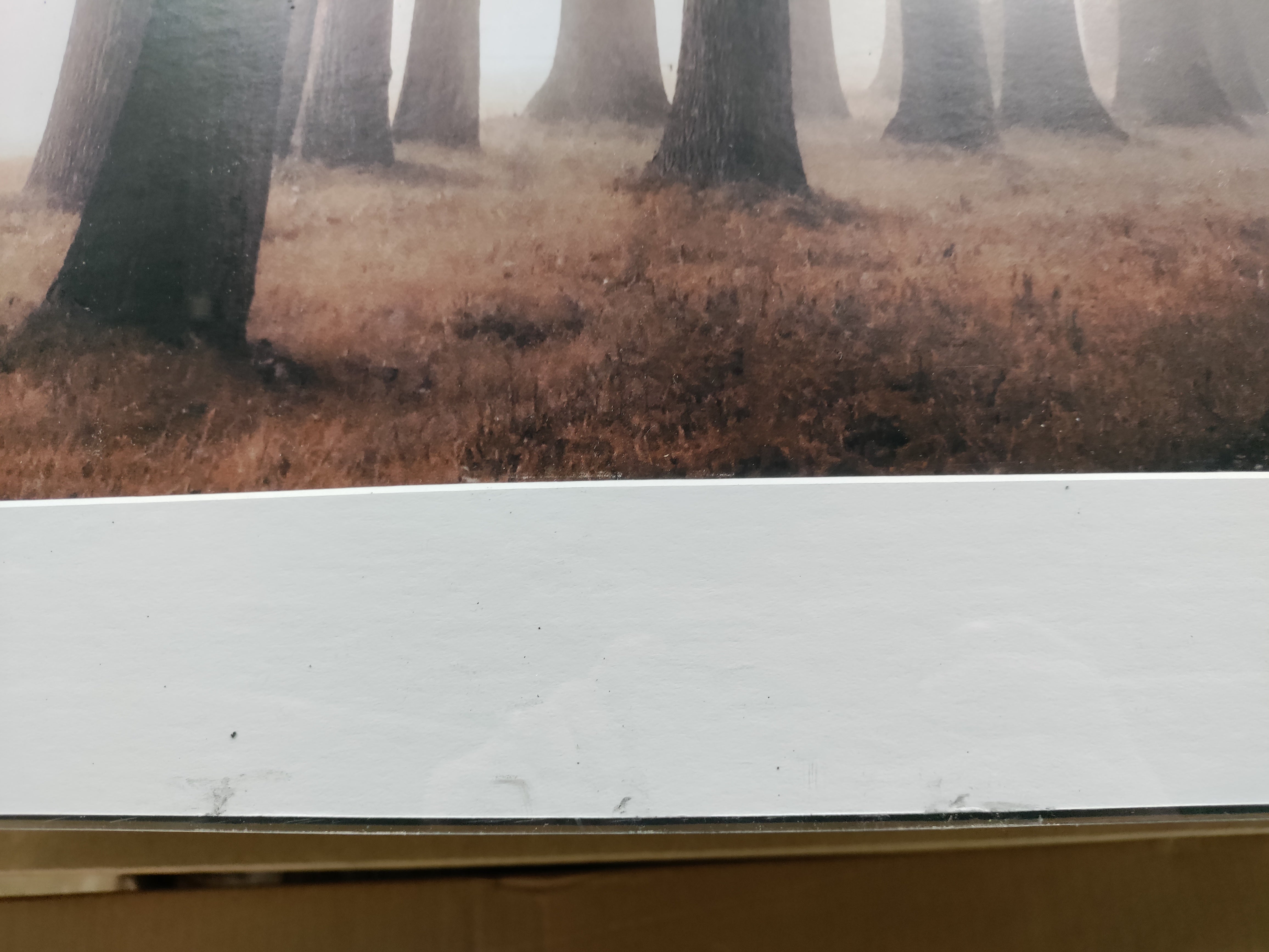 28" H x 38" W x 1.5" D Misty Road - Picture Frame Graphic Art