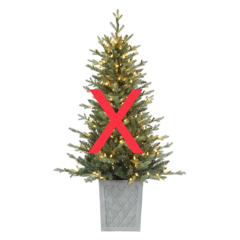4.5' Barcelona Blue Spruce Pot *as-is*
