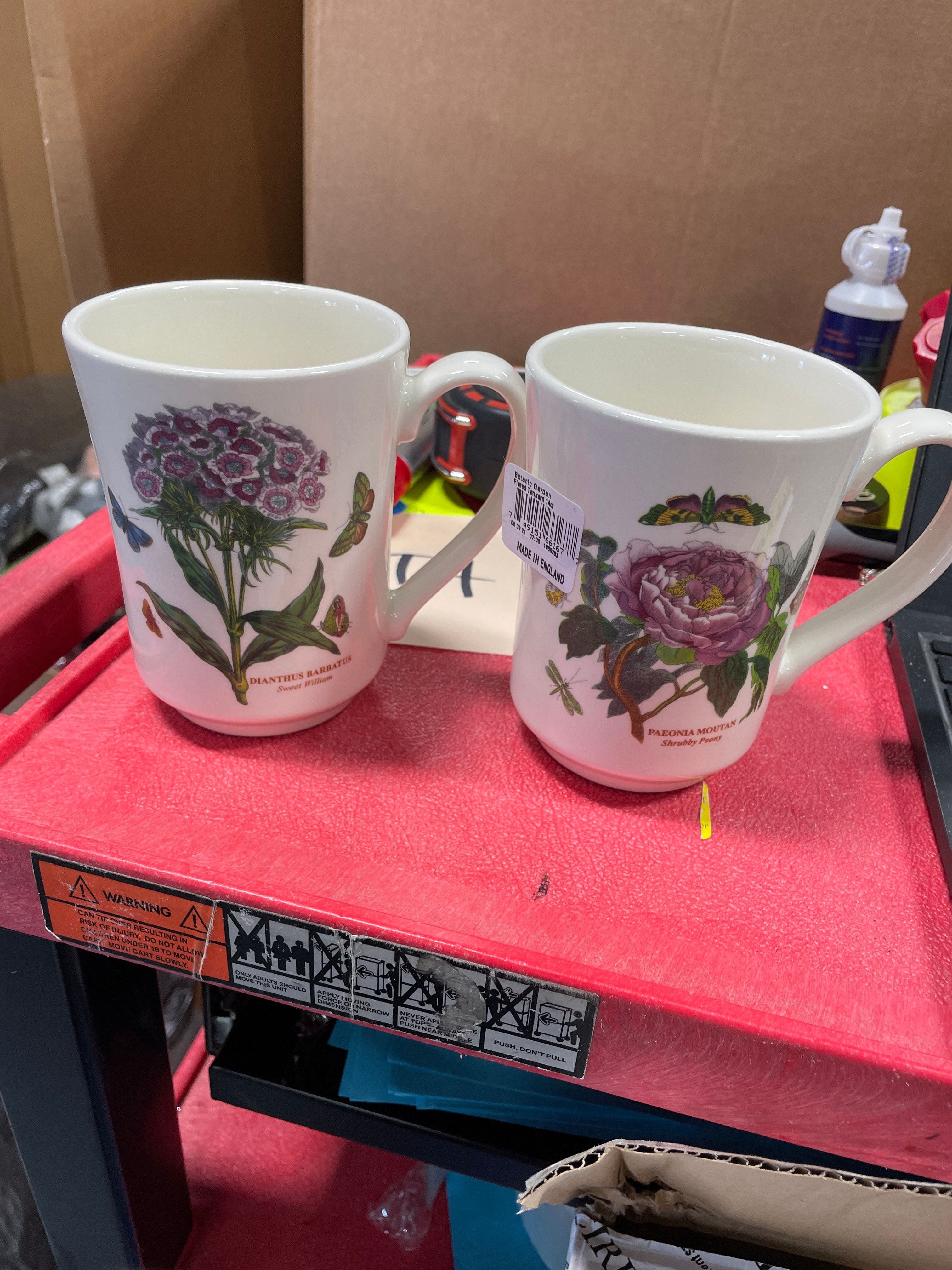 Botanic Garden 14 Ounce Flared Tankard Mug Set of 2 (Assorted Motifs)
