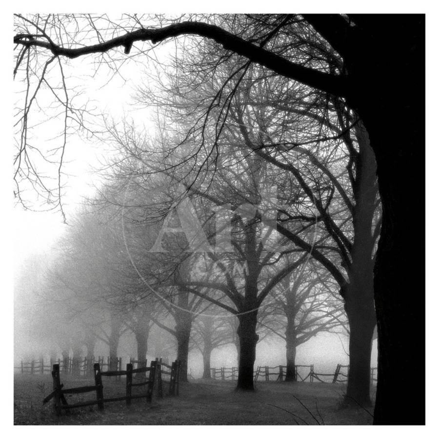 Black and White Morning 32" x 32"  ss710