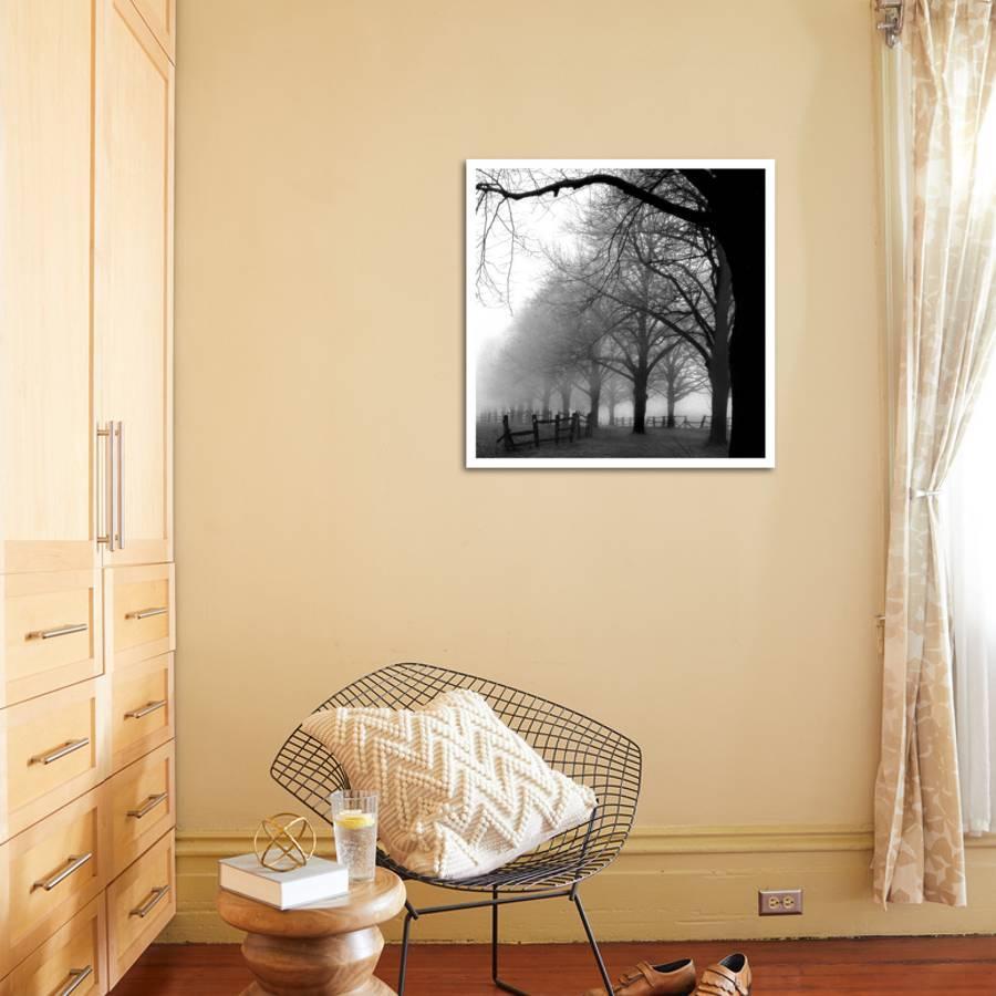 Black and White Morning 32" x 32"  ss710