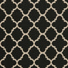 Courtyard Black/Beige 5' x 8' Indoor/Outdoor Area Rug #150R