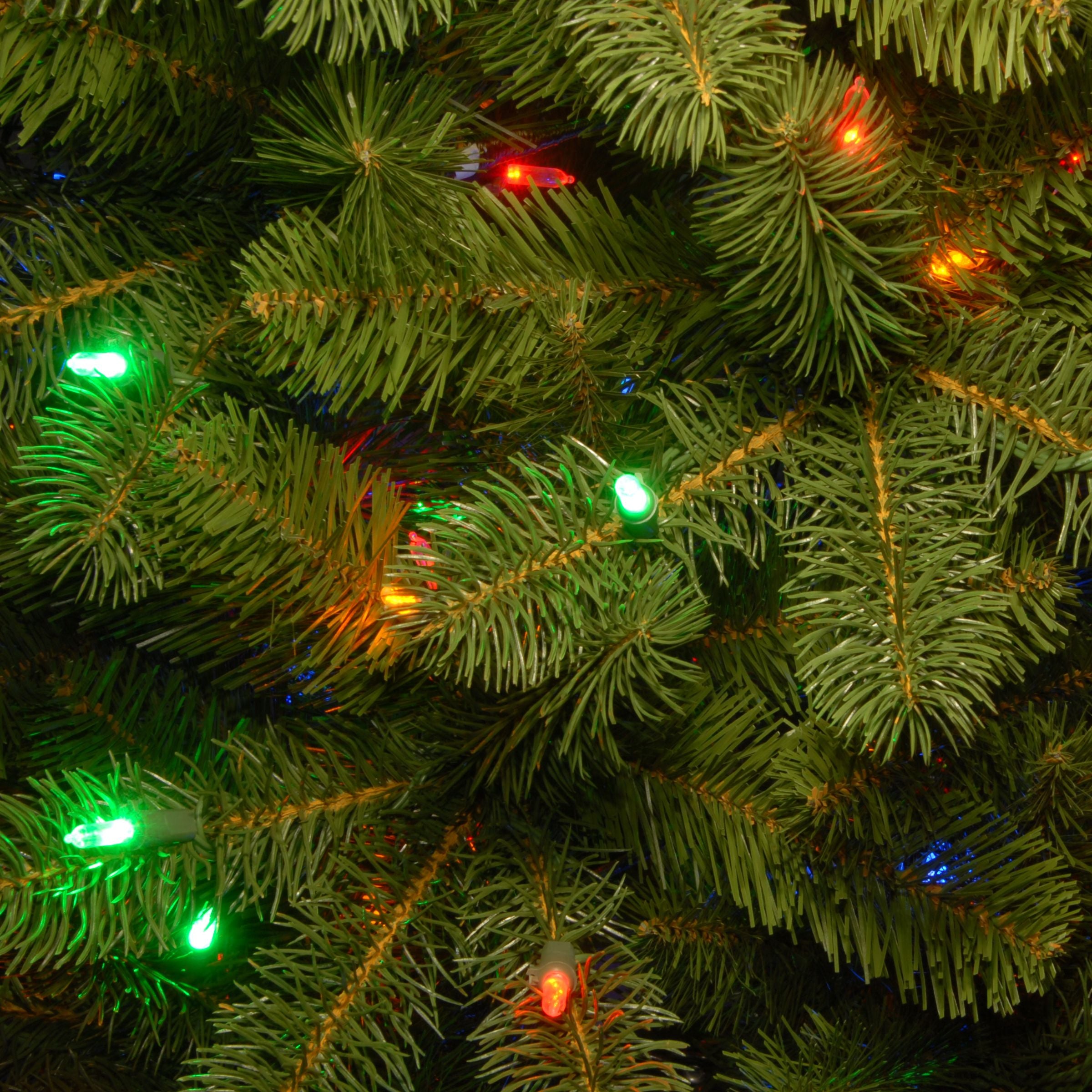 6.5 ft. Douglas Christmas Tree with Dual Color LED Lights  K6932