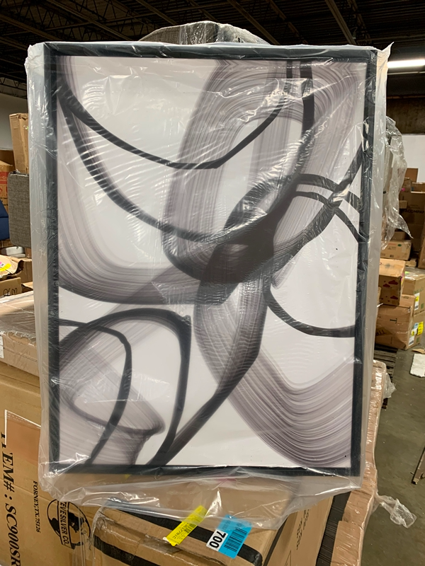Black and White Floater Frame Graphic Art Print on Canvas EJ658