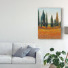 Trademark Fine Art 'Cypress Trees I' Canvas Art by Tim OToole 18x24