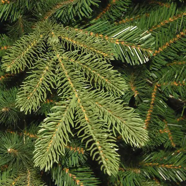 6-1/2 ft. Feel Real Norwegian Spruce Hinged Tree with 650 Clear Lights