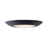 Black Flush Mount Light ENERGY STAR