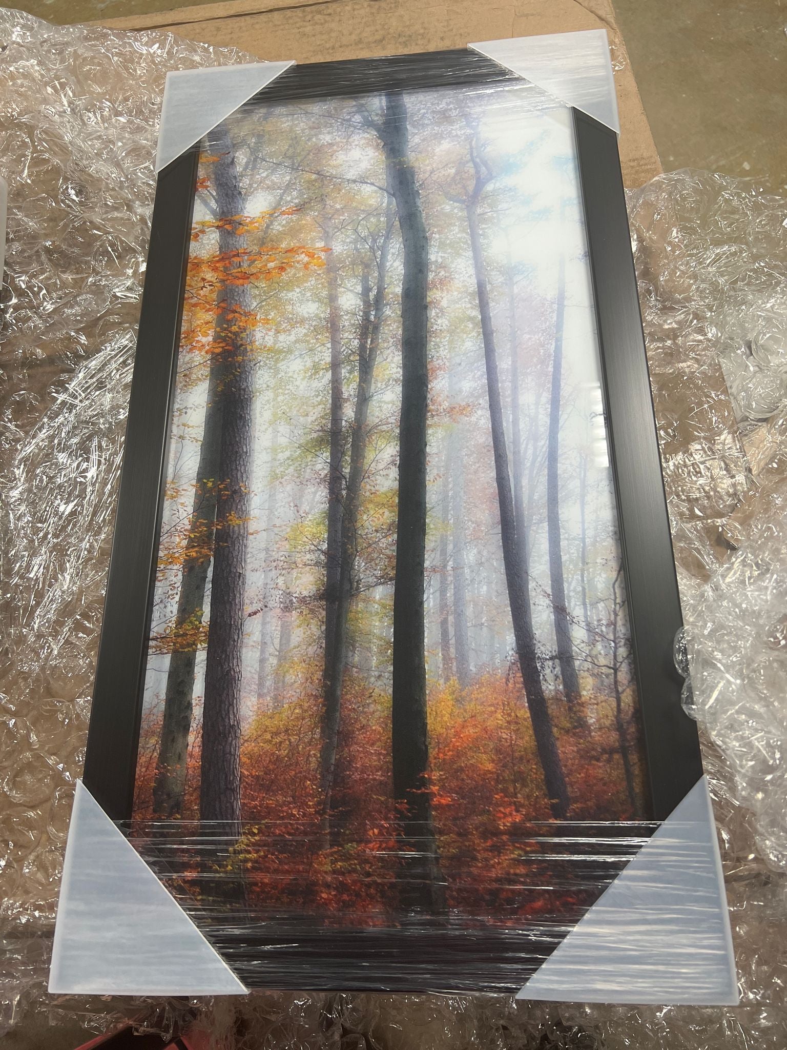 42” x 24” Fall Forest Scene, 3-Piece Framed Art
