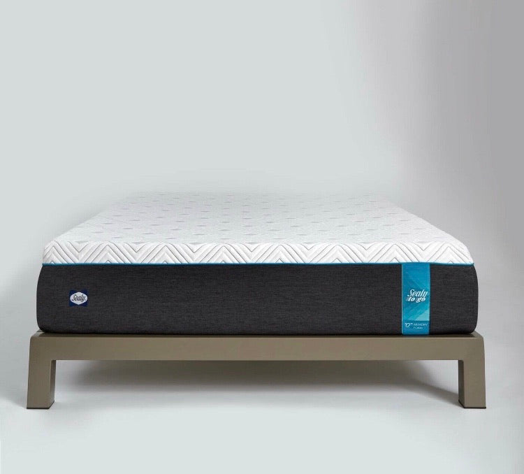 (Queen) Sealy 12" Plush Memory Foam Mattress CG1451