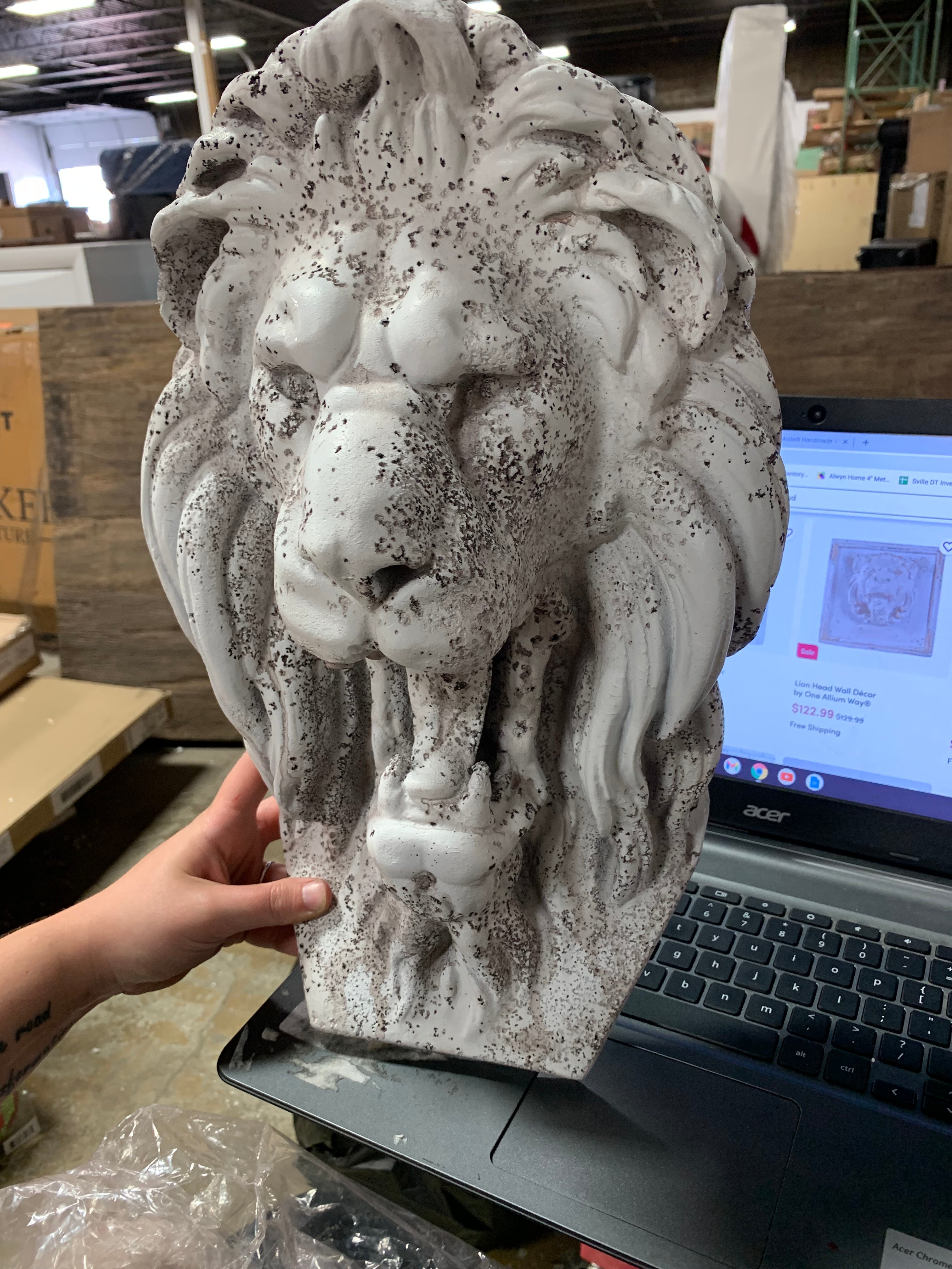 Wild Roaring Lion Head Wall Sculpture CYS291