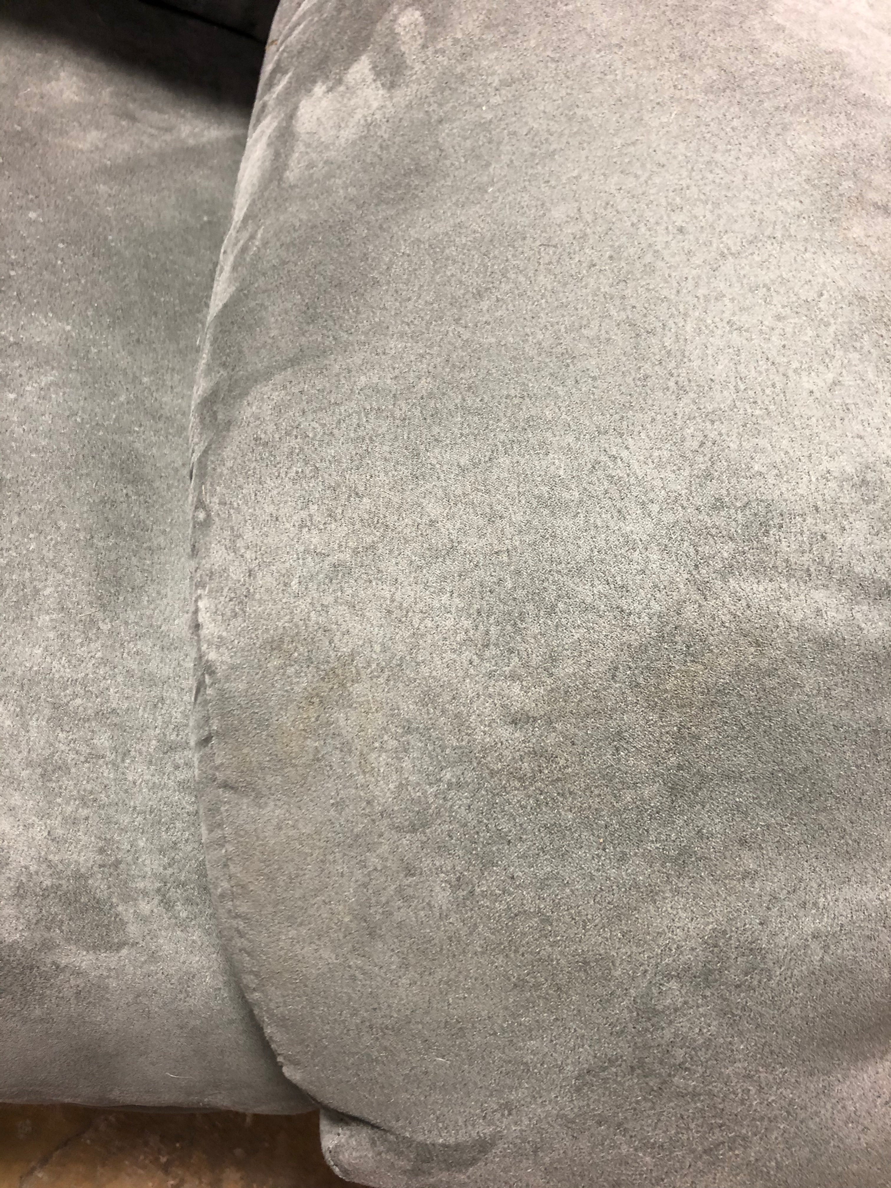 Waldschmidt Microfiber / Microsuede 67" Pillow Top Arm Loveseat