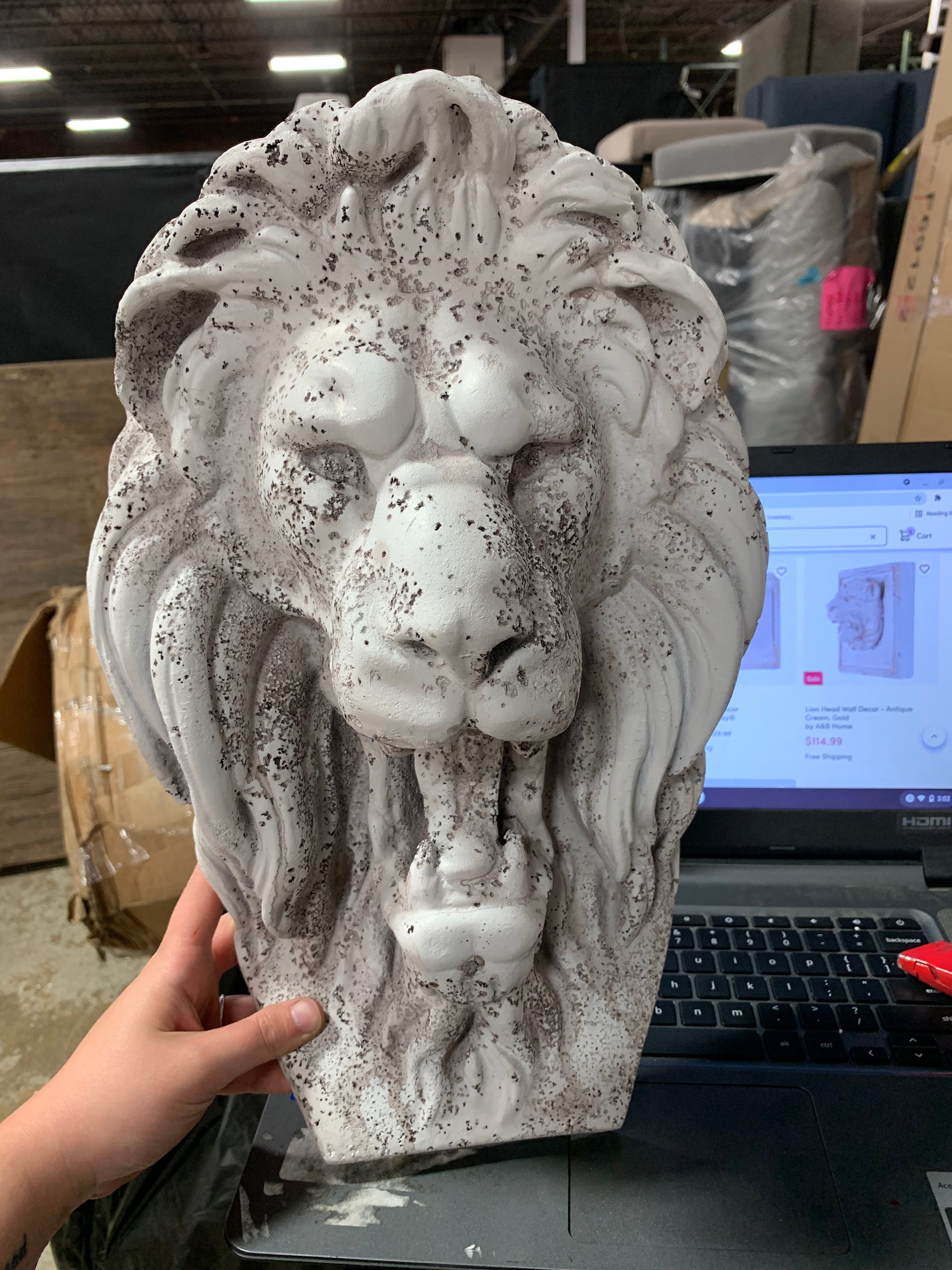 Wild Roaring Lion Head Wall Sculpture CYS291