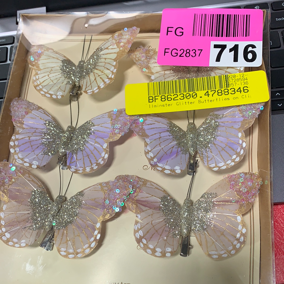 HomArt Mandarin Glitter Butterflies on Clip - Box of 6 Assorted LS115