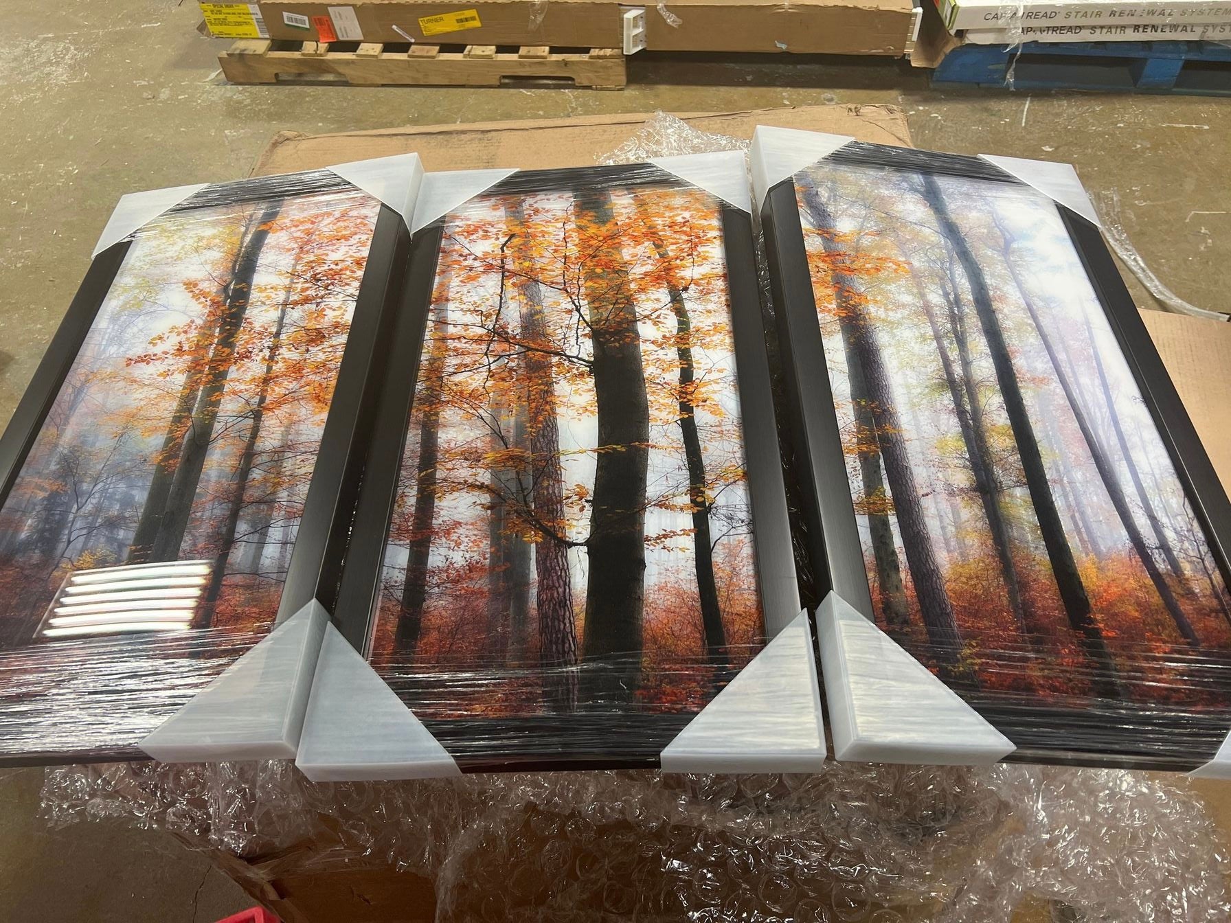 42” x 24” Fall Forest Scene, 3-Piece Framed Art