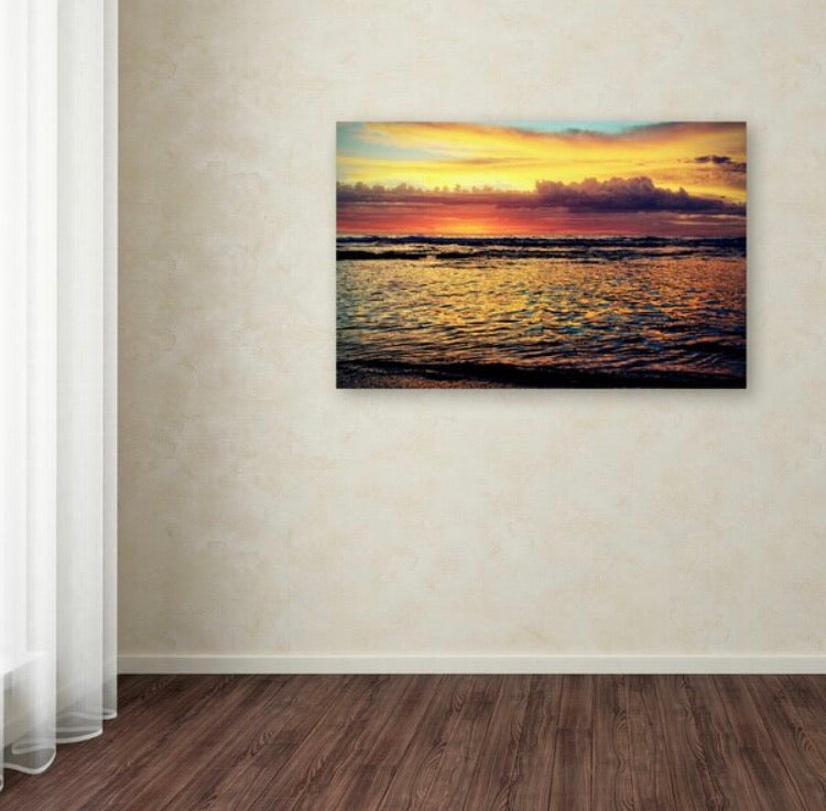 30" H x 47" W x 2" D 'Morning Glory' Canvas CG1278