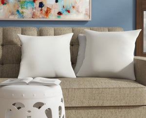 (Set of 2) 17" White Indoor/Outdoor Pillows CG916