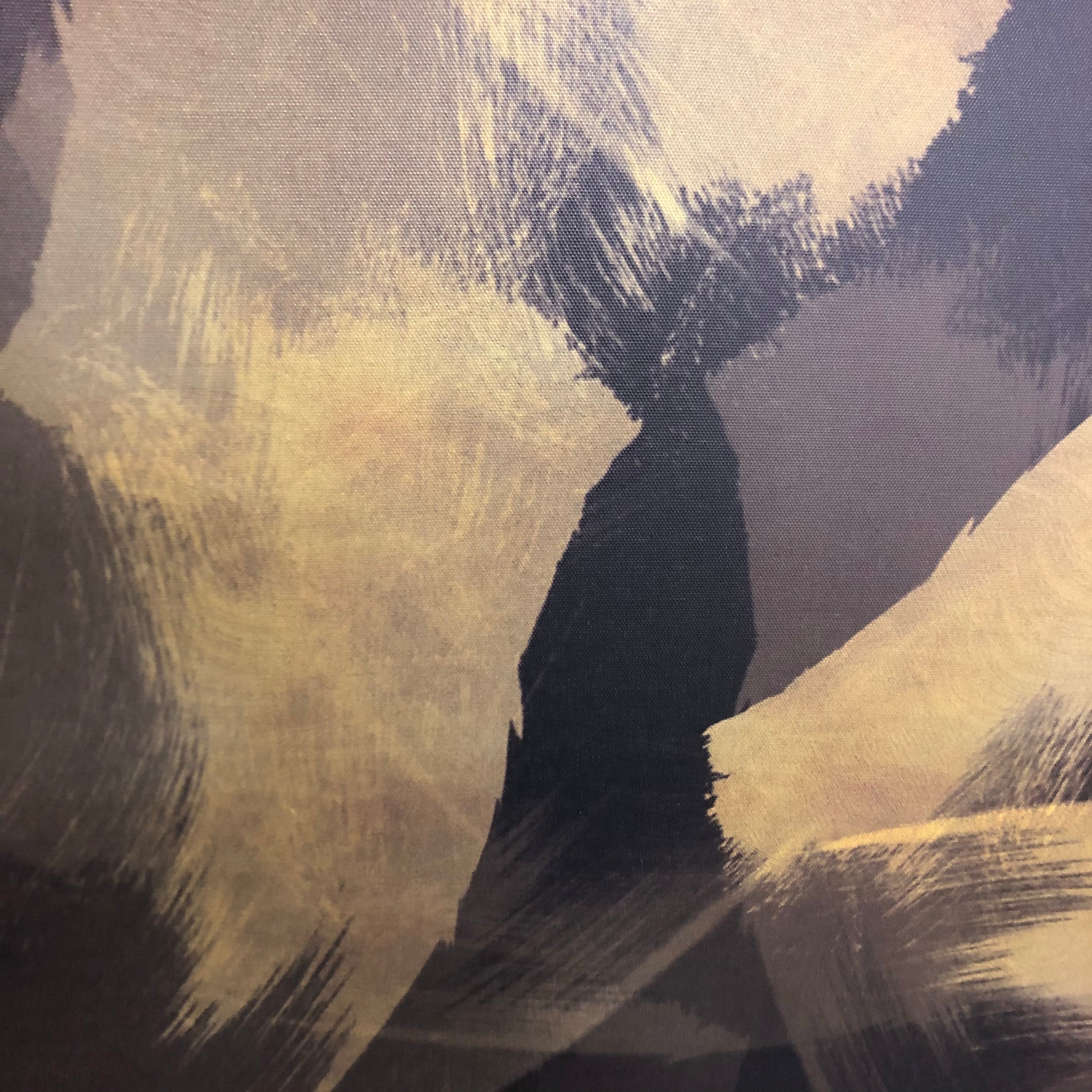 48"x32" Abstract Wrapped Canvas CG1696